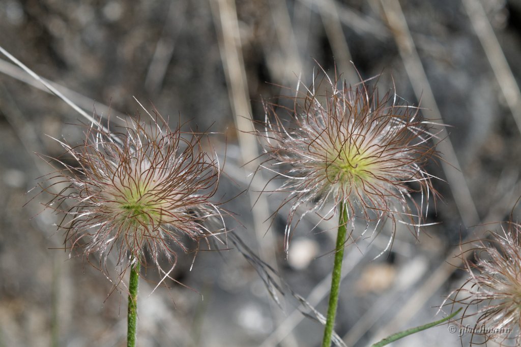 20140504_224